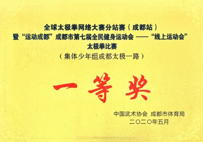 全球太極拳網絡大賽一等獎